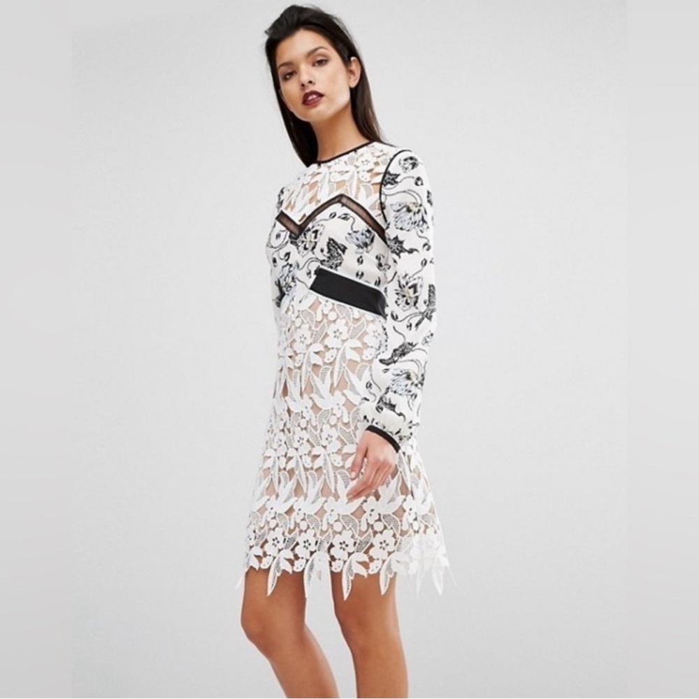 The Self Portrait White Swallow Guipure Dress